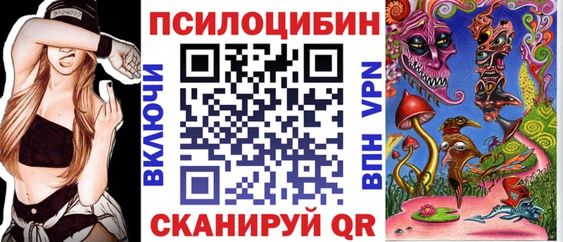 Псилоцибиновые грибы Psilocybe Верхняя Салда